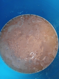 Фото рецепт пшенично-ячменной браги на дрожжах Кодзи.